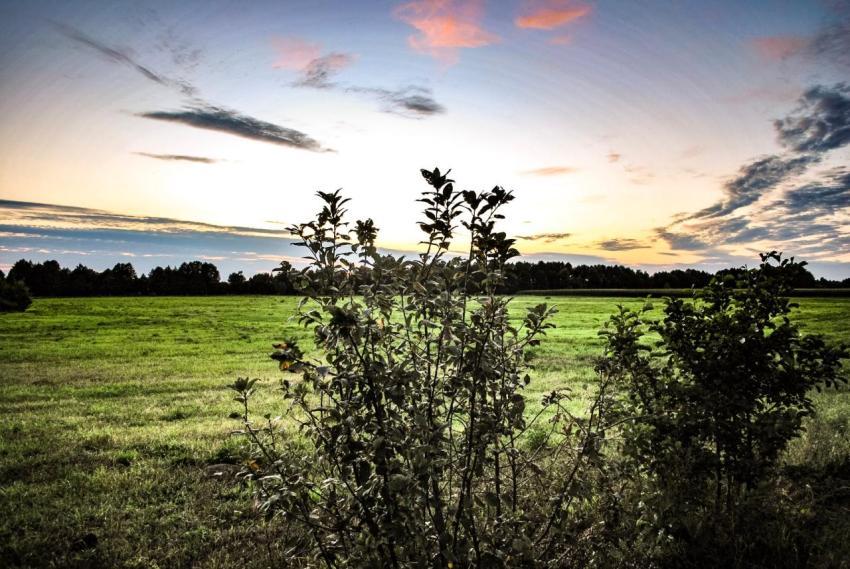 Zachód słońca na wsi