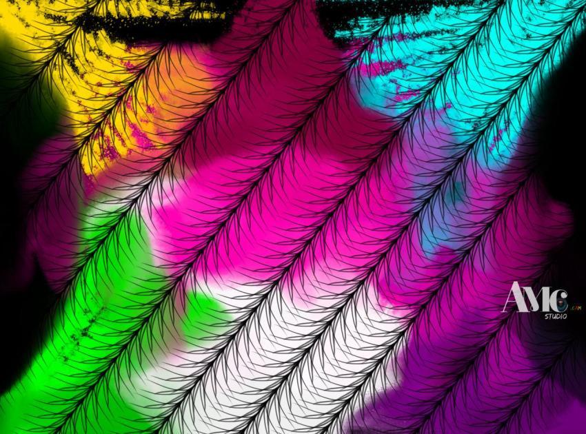 The paradox of colors