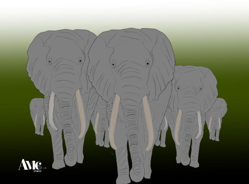 238cd7e0 79ee 44bd a6d0 d7bba88dc64e