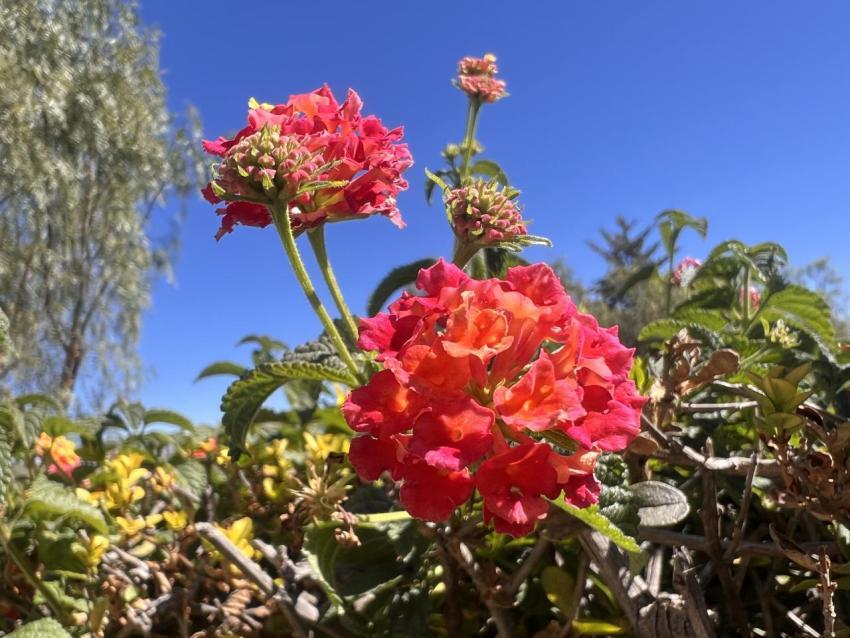 Ciclos-  Khalil Salomon Fotografía