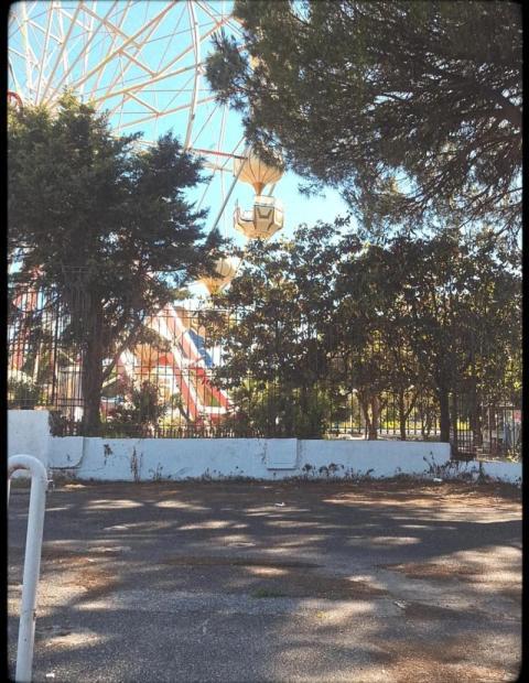 Screenshot 20250626 232617 Tumblr