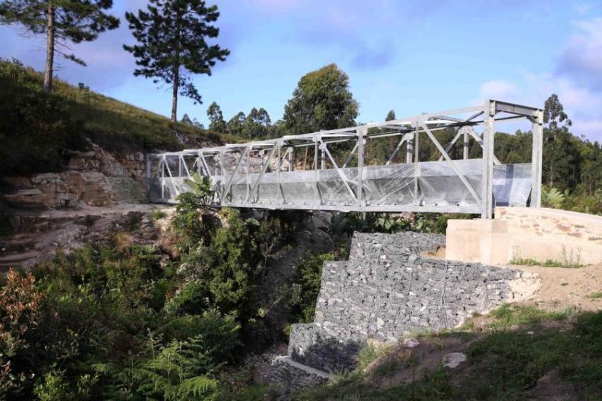 Bridge in the forest 1