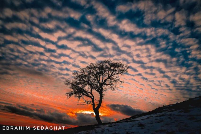 IMG 20240725 234447 168