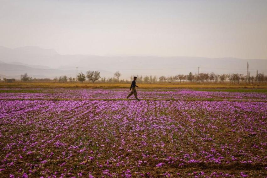 IMG 20250417 131809 713