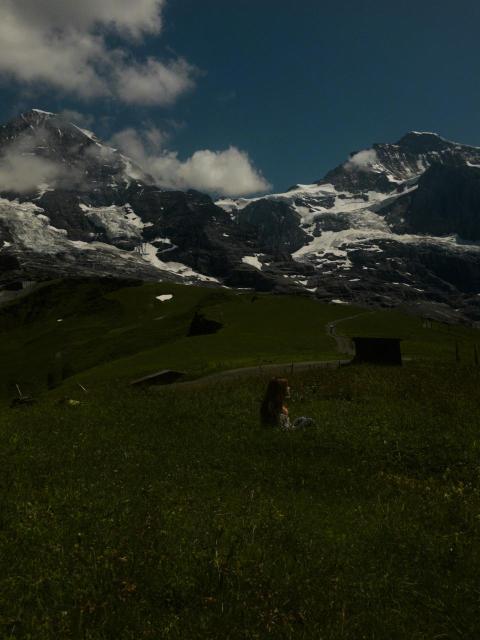 ccdr 2025 06 28 153430 927