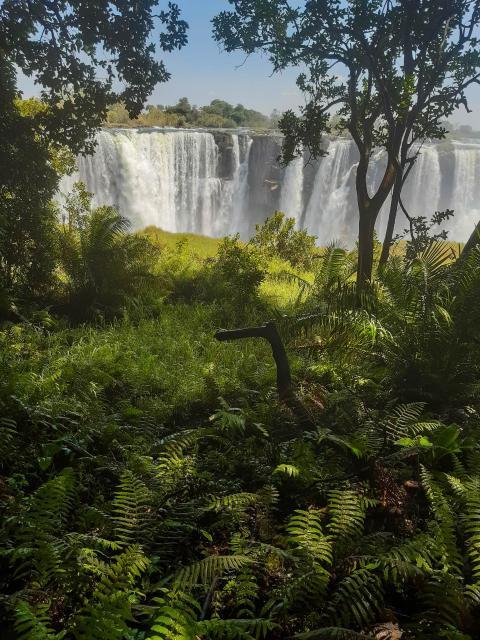 Mosi-oa-Tunya AKA Victoria falls