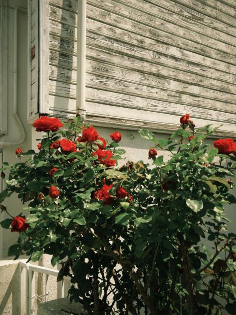 fxn 2025 05 08 114426 936