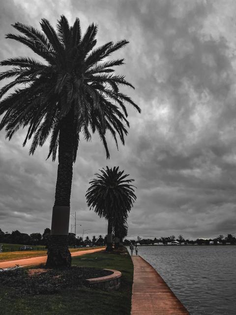 Albert Park | Melbourne | Rainy Day
