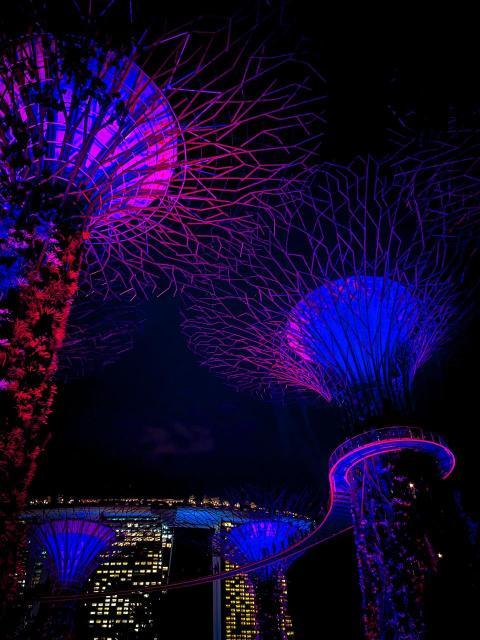 Gardens By The Bay | Singapore