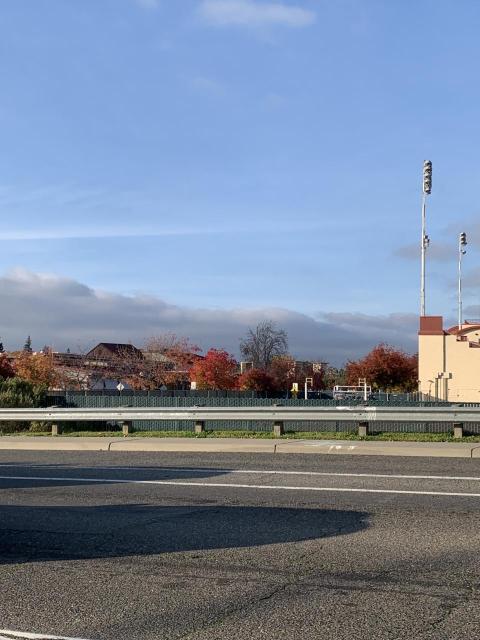 City College in Fall