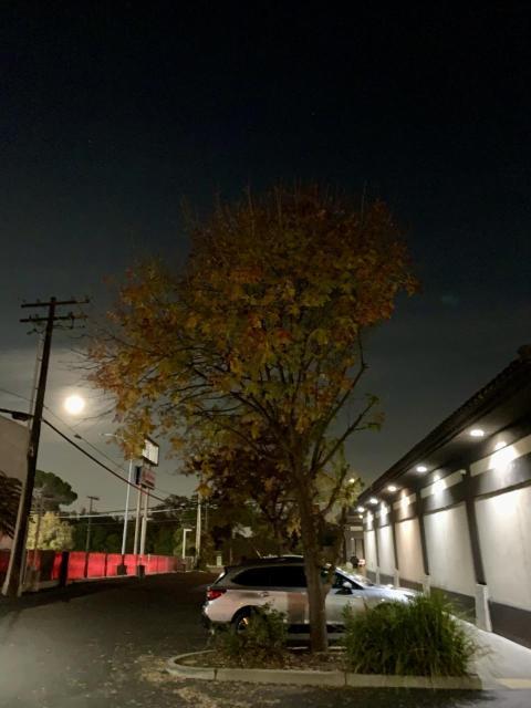 Full Moon over Asian market