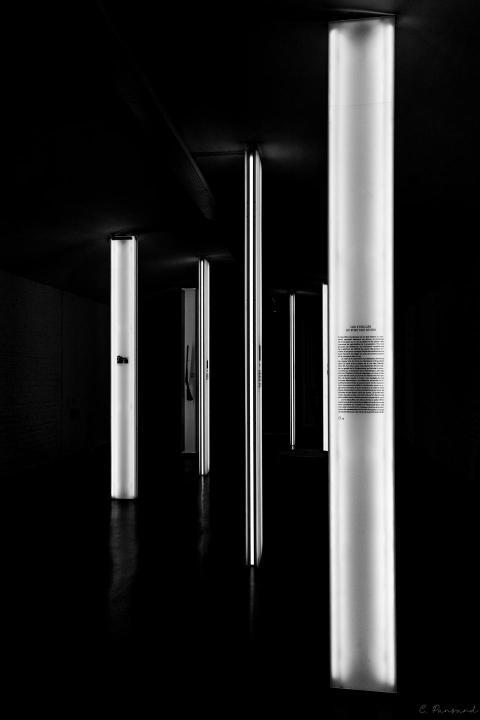 De l'ombre née la lumière